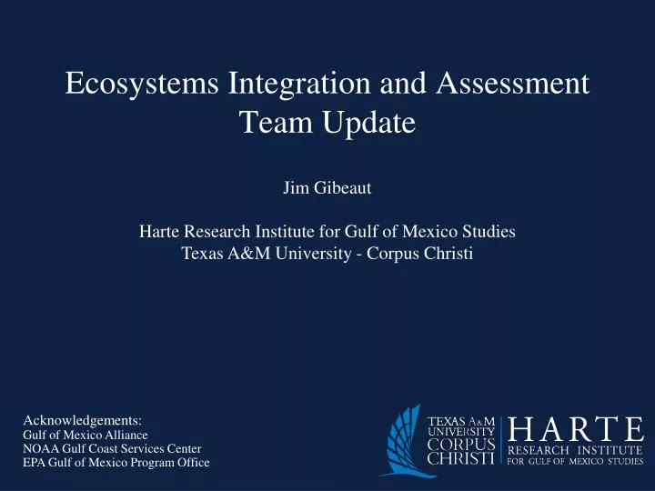 jim gibeaut harte research institute for gulf of mexico studies texas a m university corpus christi