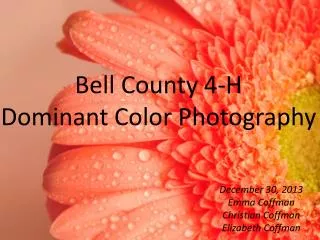 Bell County 4-H Dominant Color Photography