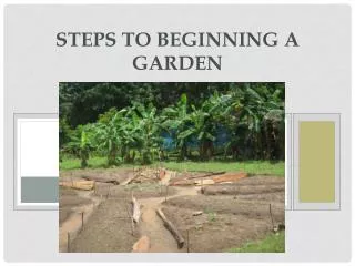 Steps to Beginning a Garden