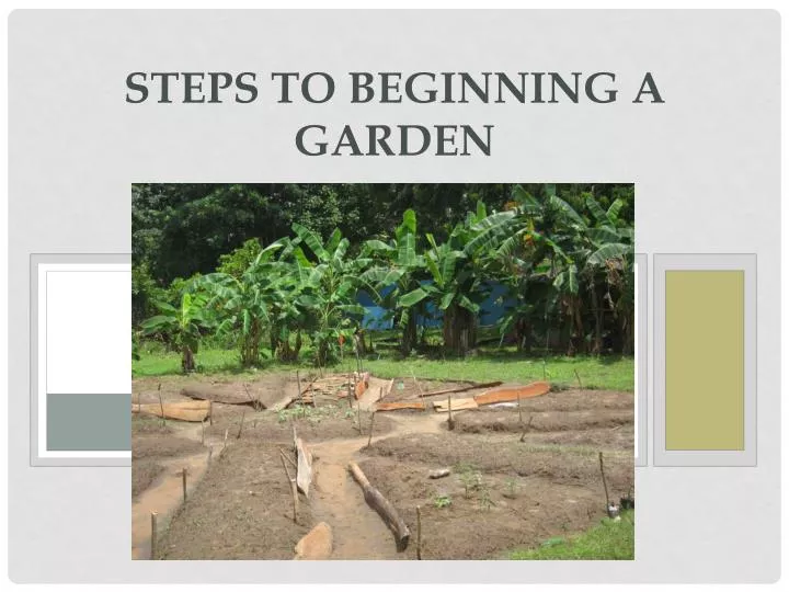 steps to beginning a garden