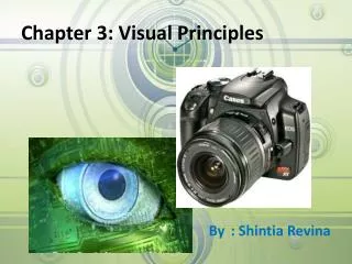 Chapter 3: Visual Principles
