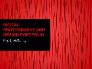 Digital Photography and Design Portfolio