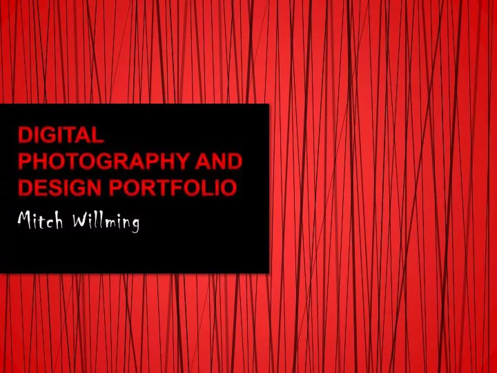 digital photography and design portfolio
