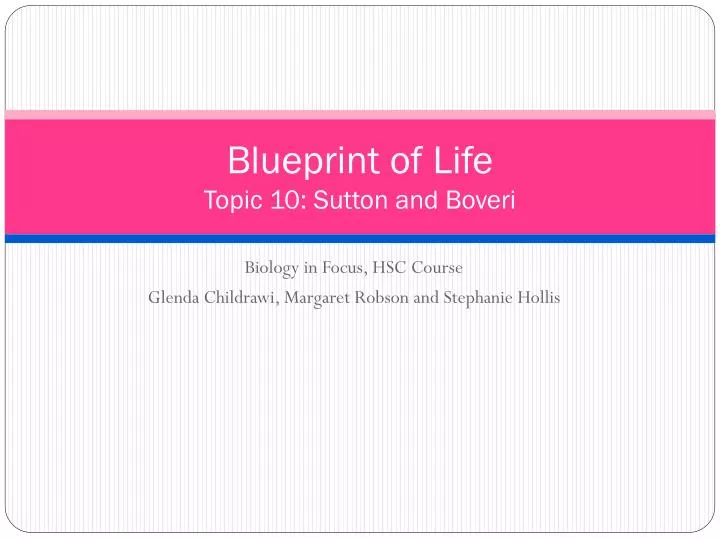 blueprint of life topic 10 sutton and boveri