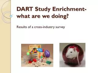 DART Study Enrichment-what are we doing?