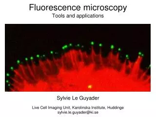 Fluorescence microscopy Tools and applications
