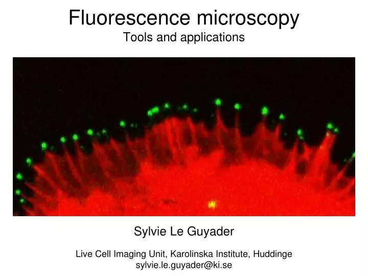 fluorescence microscopy tools and applications