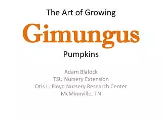 The Art of Growing Gimungus Pumpkins
