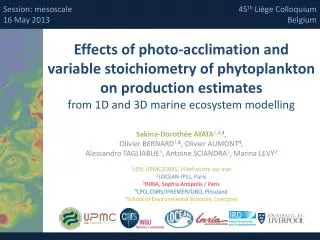 Effects of photo-acclimation and variable stoichiometry of phytoplankton on production estimates from 1D and 3D marin