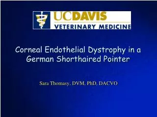 Corneal Endothelial Dystrophy in a German Shorthaired Pointer