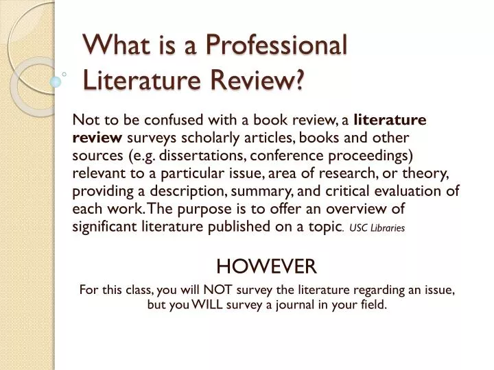 what is a professional literature review