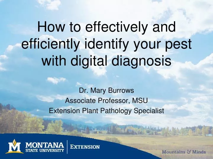 how to effectively and efficiently identify your pest with digital diagnosis