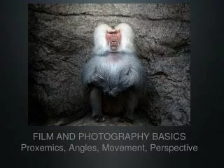 FILM AND PHOTOGRAPHY BASICS Proxemics, Angles, Movement, Perspective