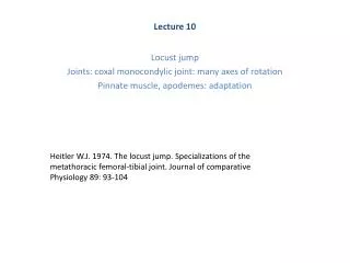 Lecture 10