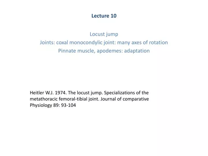 lecture 10