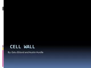 CELL WALL