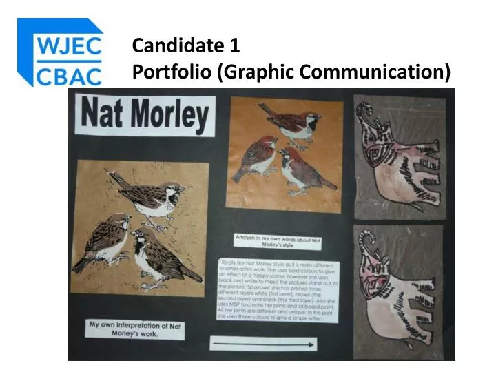 candidate 1 portfolio graphic communication