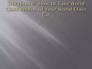 Storyboard: How to Take World Class Photos of Your World-Class Cat