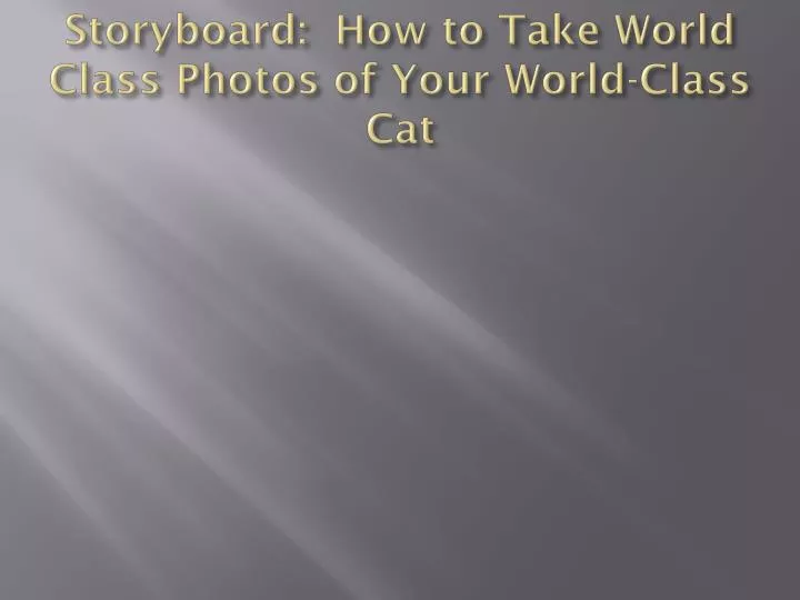 storyboard how to take world class photos of your world class cat
