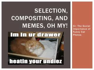 Selection, Compositing, and Memes, Oh MY!