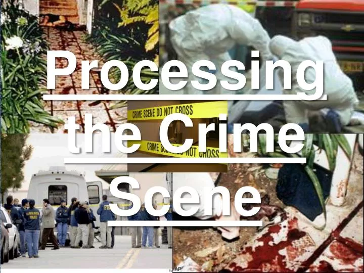 processing the crime scene