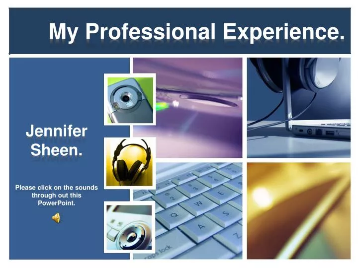 my professional experience