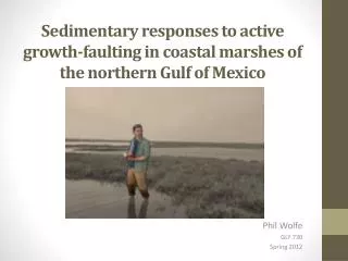 Sedimentary responses to active growth-faulting in coastal marshes of the northern Gulf of Mexico
