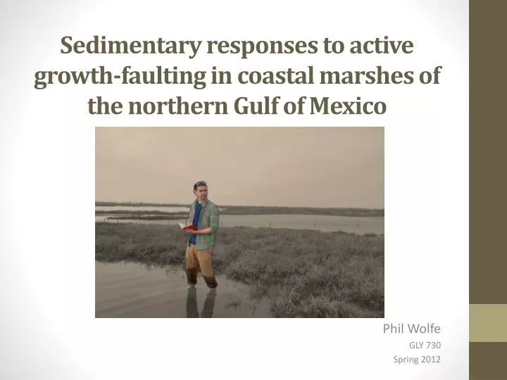 sedimentary responses to active growth faulting in coastal marshes of the northern gulf of mexico
