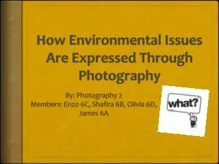 How Environmental Issues Are Expressed Through Photography