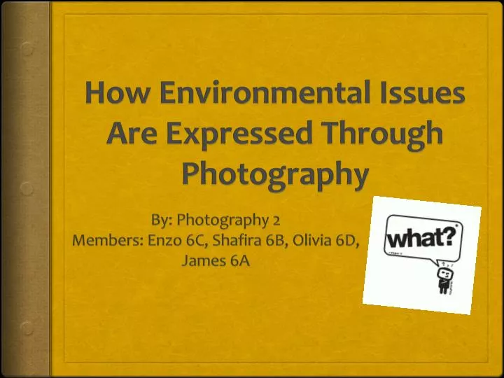 how environmental issues are expressed through photography