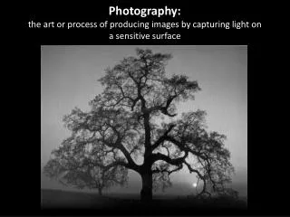 Photography: the art or process of producing images by capturing light on a sensitive surface