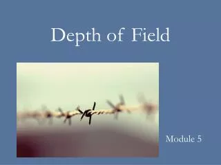 Depth of Field