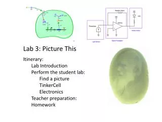 Lab 3: Picture This Itinerary: Lab Introduction Perform the student lab: Find a picture TinkerCell Electronics Teacher