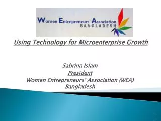 Using Technology for Microenterprise Growth