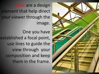 Lines are a design element that help direct your viewer through the image.