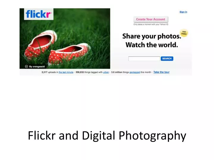 flickr and digital photography