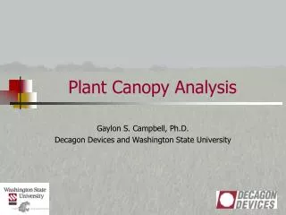 Plant Canopy Analysis