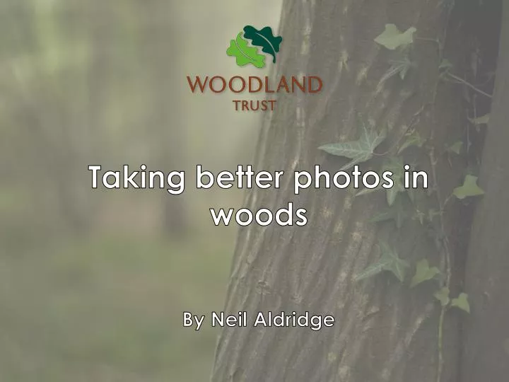taking better photos in woods by neil aldridge
