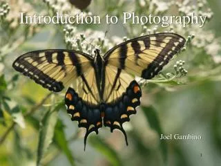 Introduction to Photography