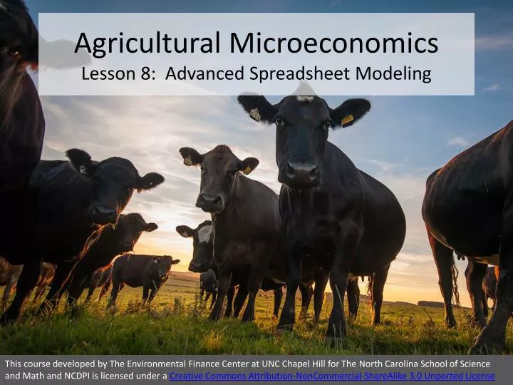 agricultural microeconomics lesson 8 advanced spreadsheet modeling