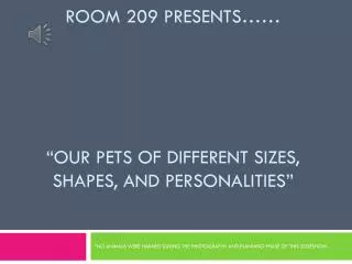 Room 209 presents…… “Our pets of different sizes, shapes, and personalities”