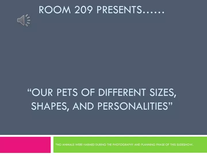 room 209 presents our pets of different sizes shapes and personalities