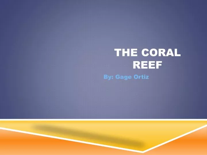 the coral reef