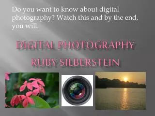 Digital Photography Ruby Silberstein