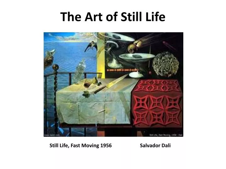 the art of still life