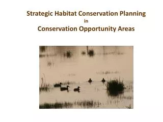 Strategic Habitat Conservation Planning in Conservation Opportunity Areas