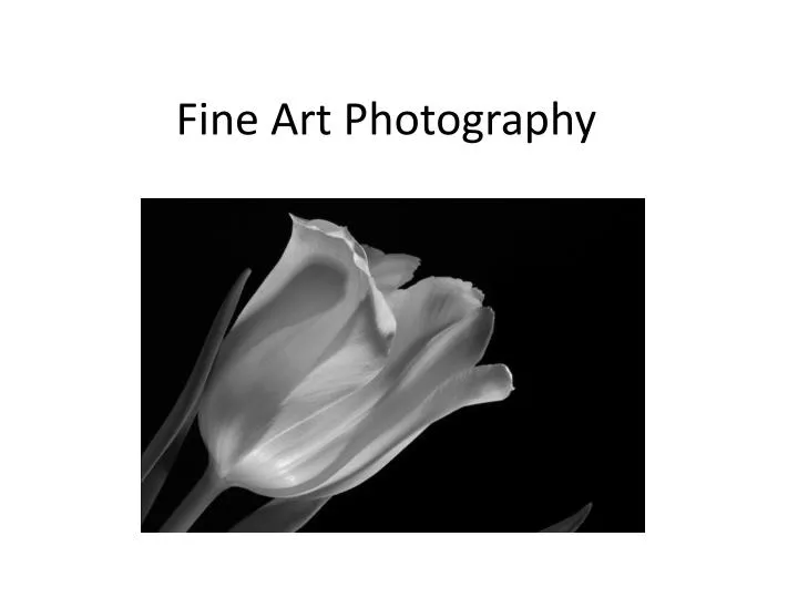 fine art photography