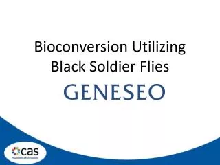 Bioconversion Utilizing Black Soldier Flies