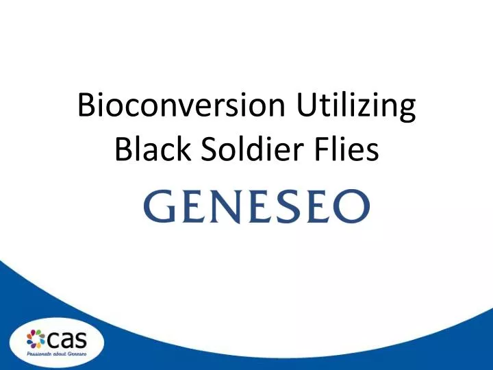 bioconversion utilizing black soldier flies