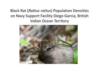 Black Rat ( Rattus rattus ) Population Densities on Navy Support Facility Diego Garcia, British Indian Ocean Territory